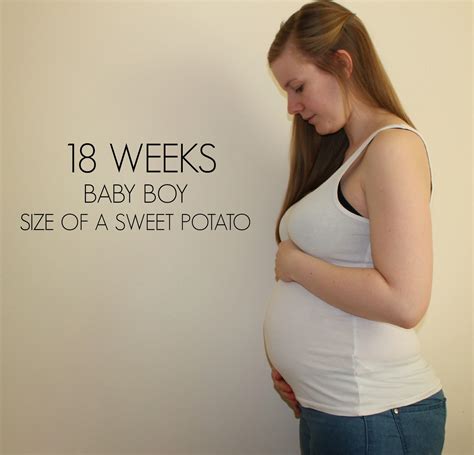 18 weeks pregnant and no bump